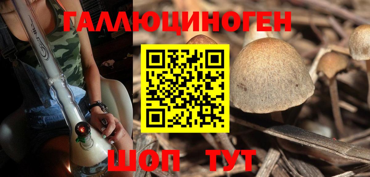 Псилоцибиновые грибы Magic Shrooms Усть-Илимск